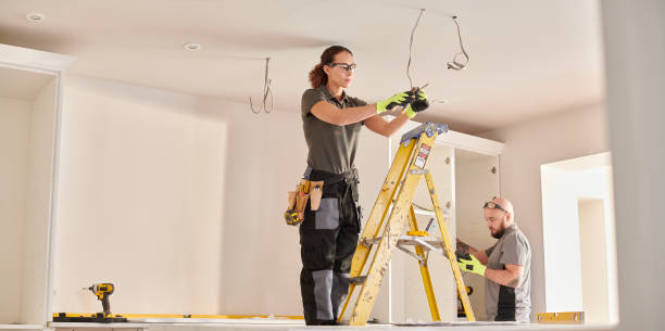 Best Electric Panel Repair  in Sheldon, TX